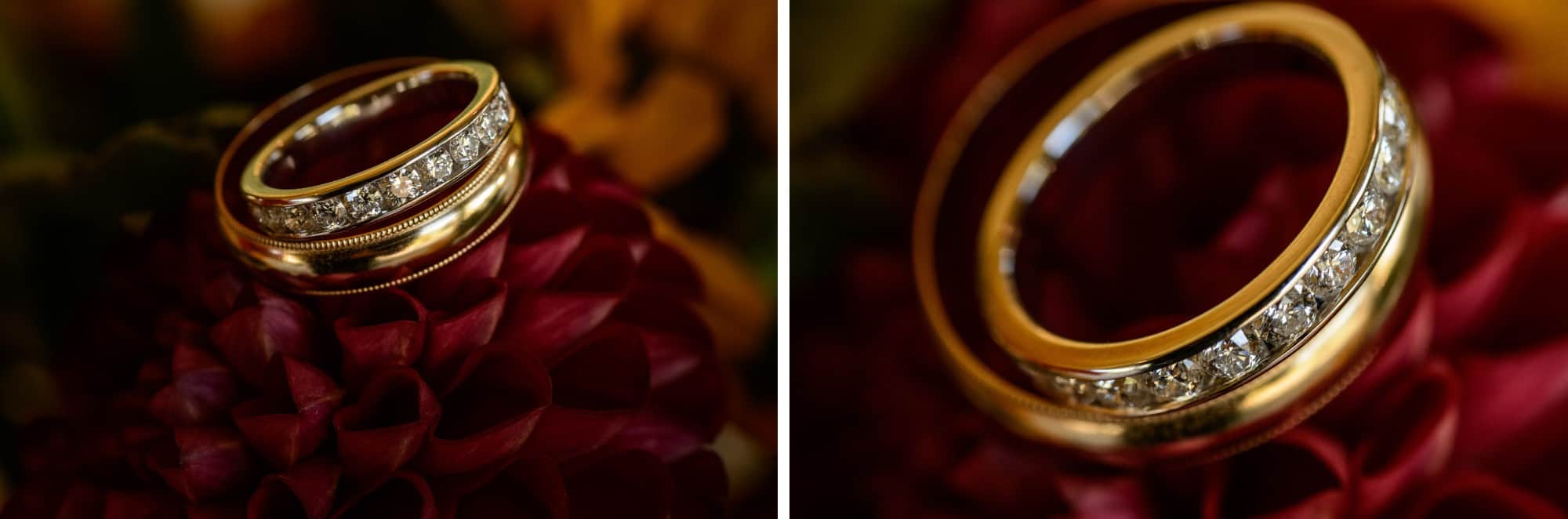 Birmingham Michigan wedding photographer