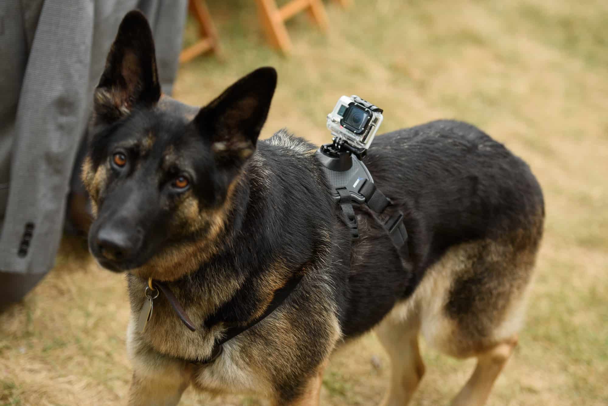 traverse city leelanau penninsula wedding photographer