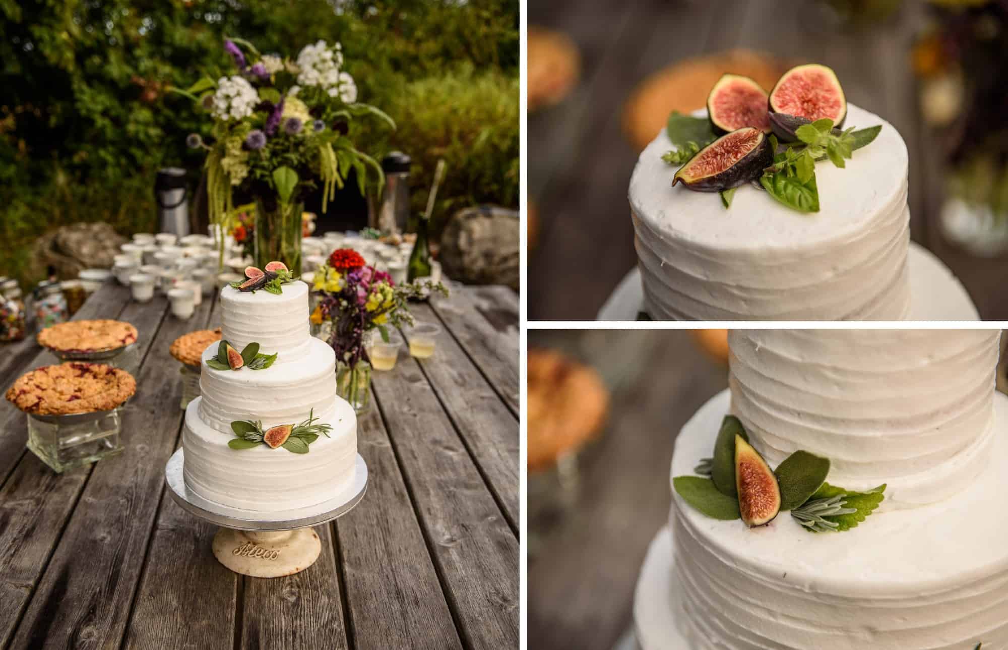 traverse city leelanau penninsula wedding photographer