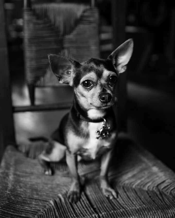 Historic Bowen Mills Wedding